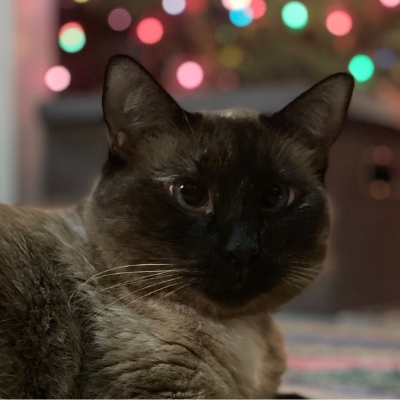 Meet your Posher, Amanda - Picture 1 of 1